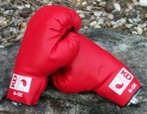 Youth Boxing Gloves